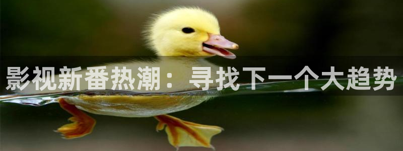 浪客剑心1免费观看樱花视频