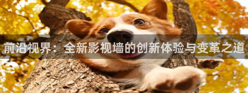 樱花风车动漫在线观看