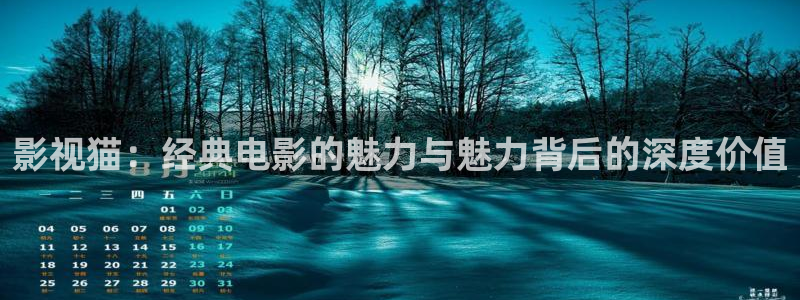 关于樱花视频